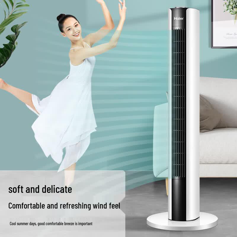 Haier FZJ1102A Bladeless Tower Fan CN plug (adapter included)