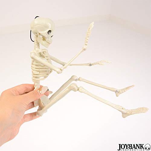 Mode della Casa Skeleton Figure 36cm Toy Skeleton Skull Interior Horror Halloween Goods (Regular Item)