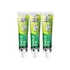 Fresh & Healthy Teeth Anti-Cavity Toothpaste