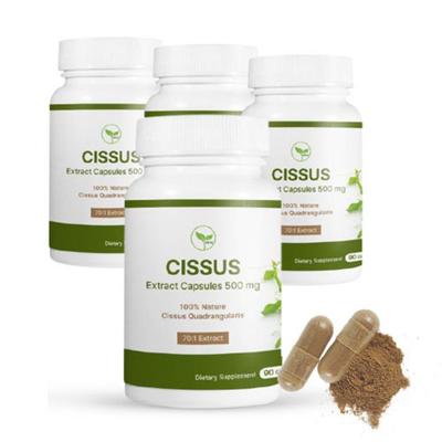 Pillole NUINE di Cissus 70 volte altamente concentrate 90 capsule x 4 scatole Capsule di Cissus, Polvere di Cissus, 90 compresse, 4 unità