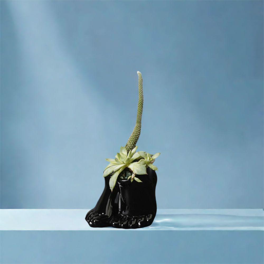 Decorative Feet Shape Flower Pot Ceramic Hydroponic Flower Holder Creative Vase Ornament Office