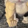Braț Muscular de Pisică Braț de Gât Imprimat 3D cu Mușchi Animal de Companie Accesorii Costum Cosplay pentru Halloween Consumabile pentru Petrecere de Ziua de Naștere