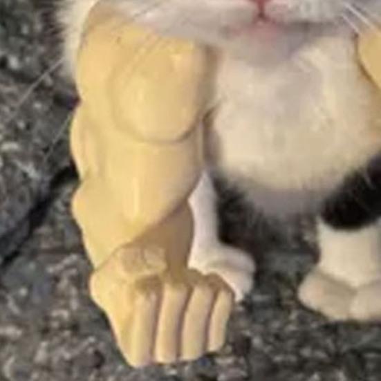 Braț Muscular de Pisică Braț de Gât Imprimat 3D cu Mușchi Animal de Companie Accesorii Costum Cosplay pentru Halloween Consumabile pentru Petrecere de Ziua de Naștere