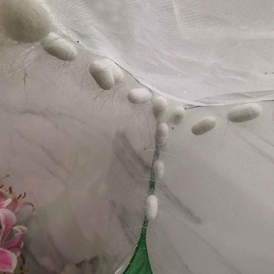 Foldable Butterfly Cage Pop-up Mesh Tent with Zipper Door Butterfly Habitat Cage Insect House for Raising Caterpillars And Butterflies