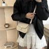 Trendy Retro Small Crossbody Square Bag For Autumn Elegant Casual Use Available In Black White Khaki And Brown