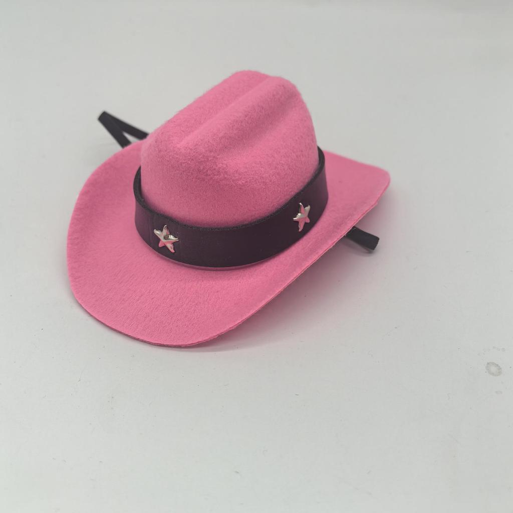 Denim Cowboy Hat with Star for Cats & Small Dogs