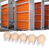 5pcs PP Egg Picking Machine Accessory Chicken Egg Picking Machine Accessory  Chicken Duck Goose