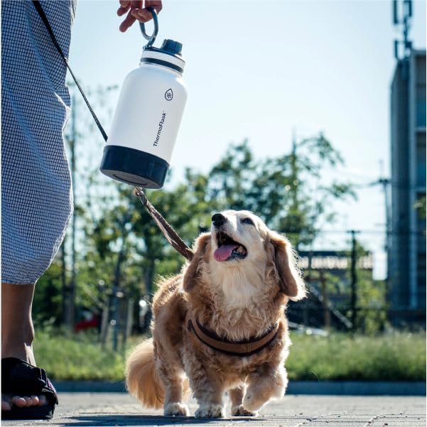Thermoflask Share Bottle Insulated Stainless Steel Water Perfect for Pets and Walks [Official Takeya] 0.94L White, Bottle,