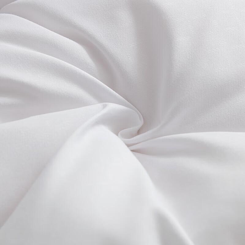 LOVO Warm Ginger Antibacterial Silky Soft Quilt