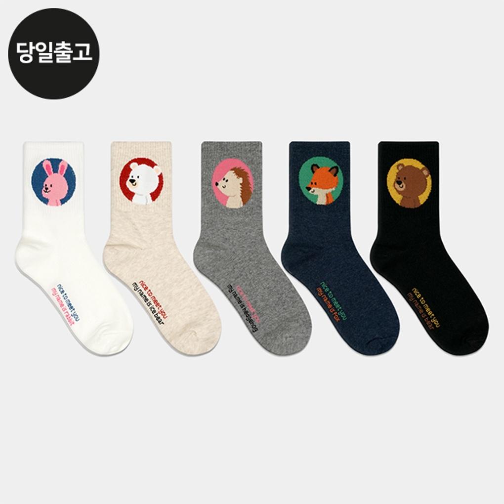 

PG Women s/Student Nice Michu Medium Socks (5 Pairs) Set Daily Student Women s Fashion