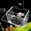 3mm Caliber Fish Tank Isolation Box Wall Mount Aquarium Incubation Box Floating Hatching Box  Home