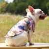 Lovely Puppy Beach Shirt Shirt T-shirt Shirt Pineapple Beach Outfit Shirt  Costume Pet Outfit Party