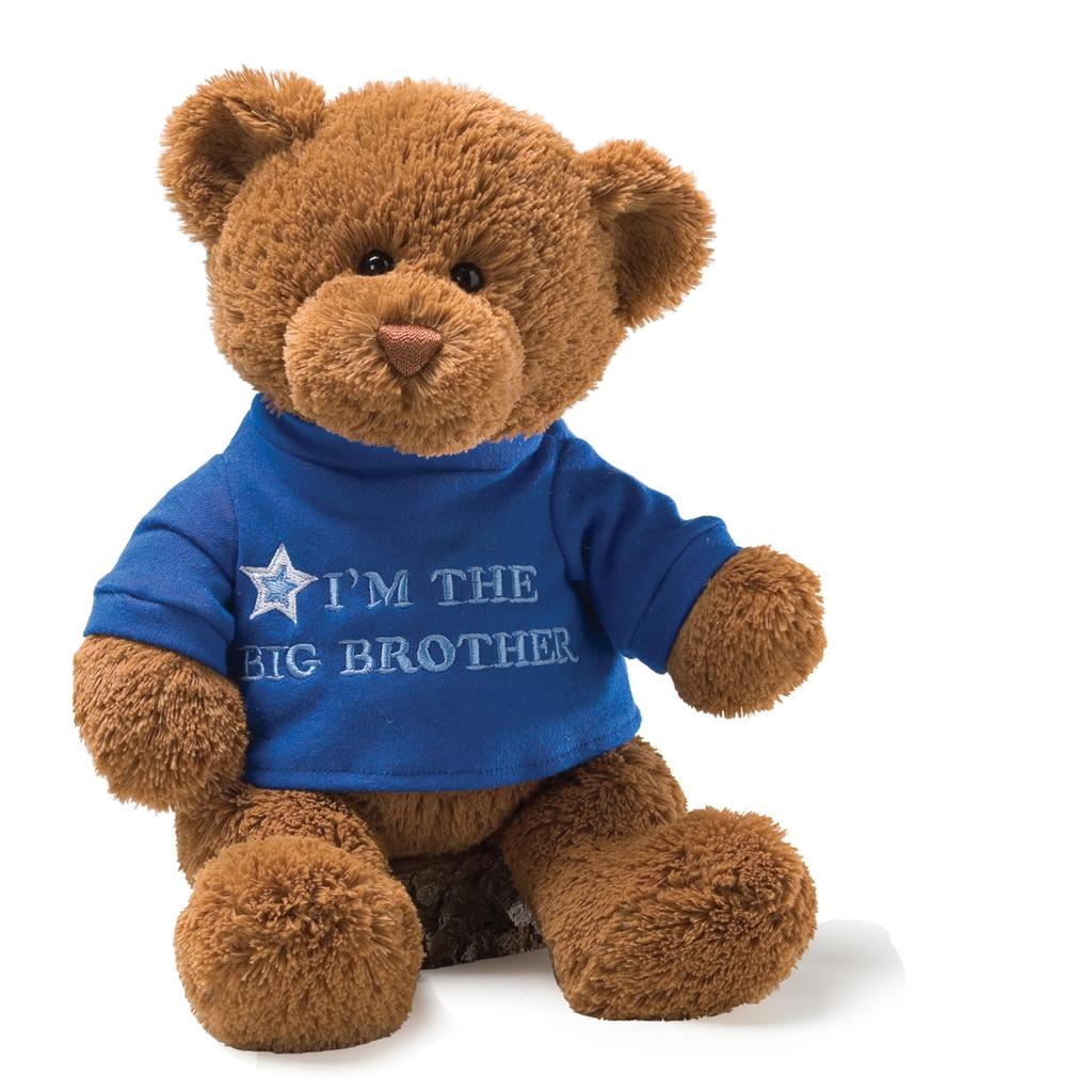 GUND The Big Brother Teddy Bear Plush Toy Blue I'm T-Shirt 12"