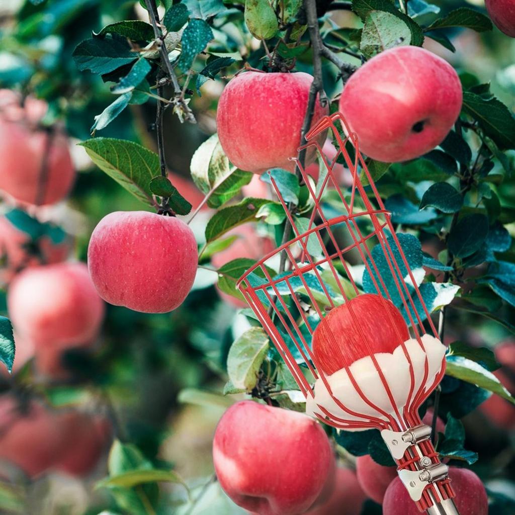Farm Garden Picking Device Garden Tools Deep Basket Fruit Picker Head Convenient Fruit Catcher Apples Peach Picking