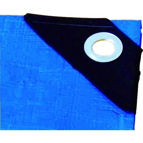 TRUSCO Double-sided Eyelet Stainless Steel 10mm 20 Sets P-THP-S10