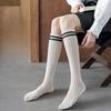 Calze, collant e calzetteria – Scaldamuscoli, gambaletti e leggins
