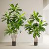 Luxurious Floor-Standing Artificial Green Bonsai - Indoor Dragon Blood Tree Decor