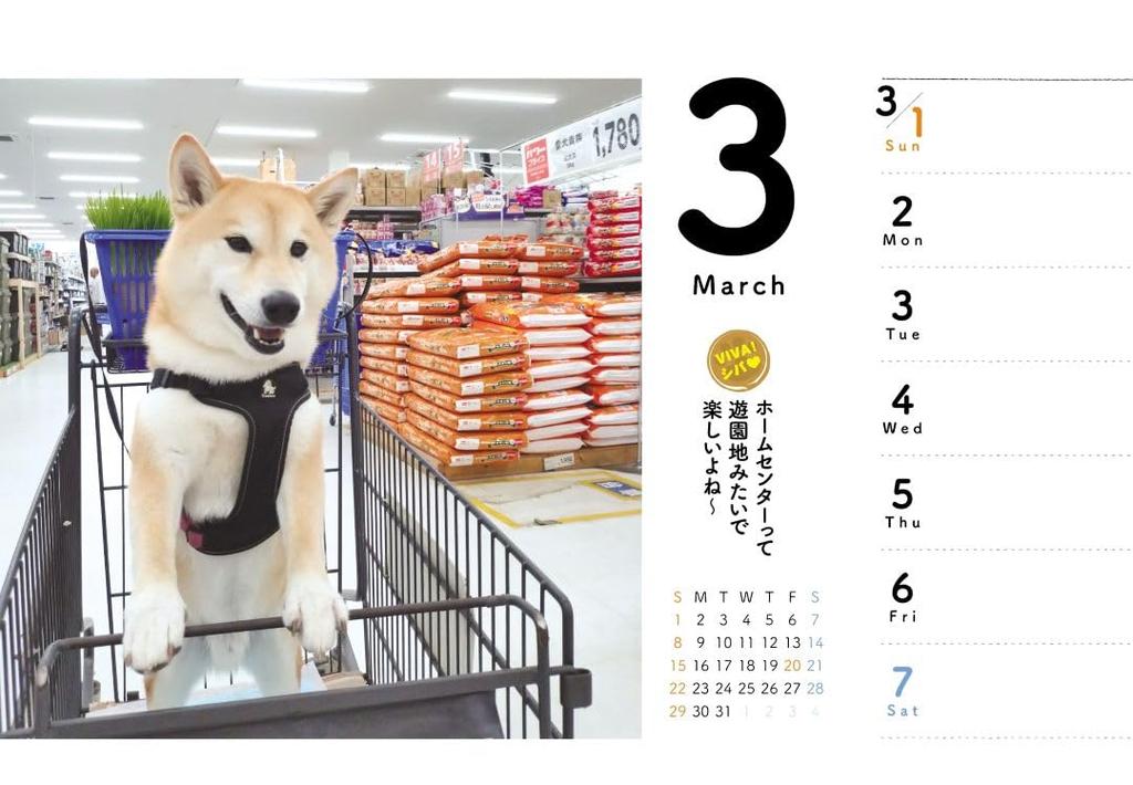 Shiba Mekuri 2026 Desk Calendar CK-D26-03