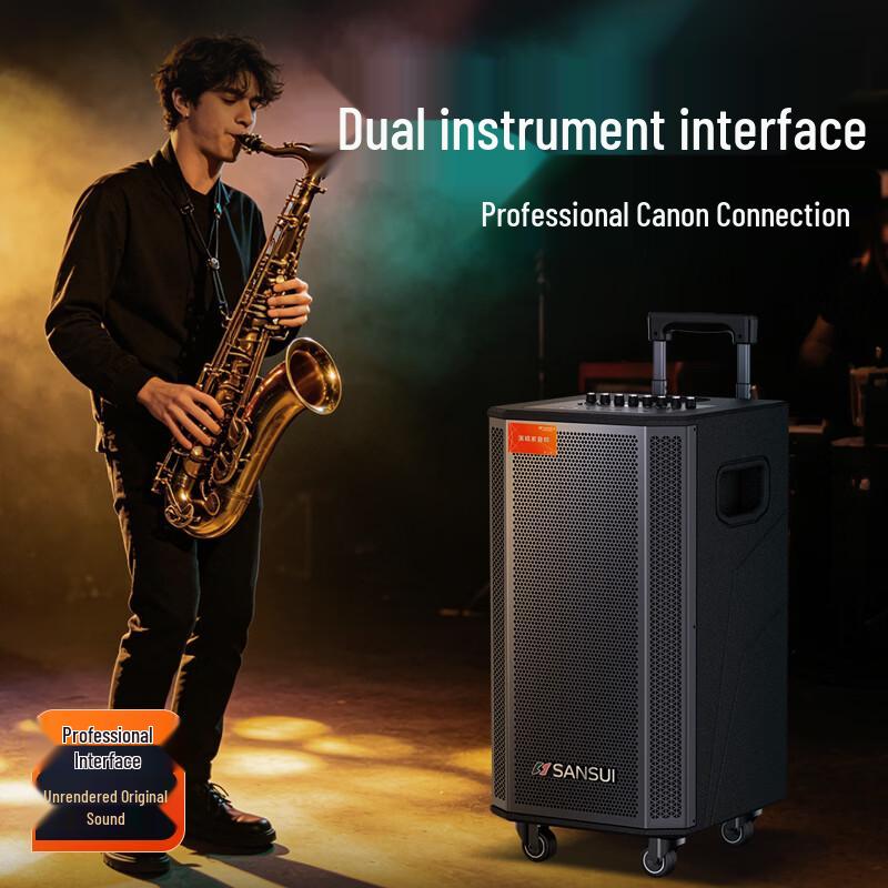 SANSUI Portable Outdoor Trolley Speaker with Wireless Microphone (CN version)