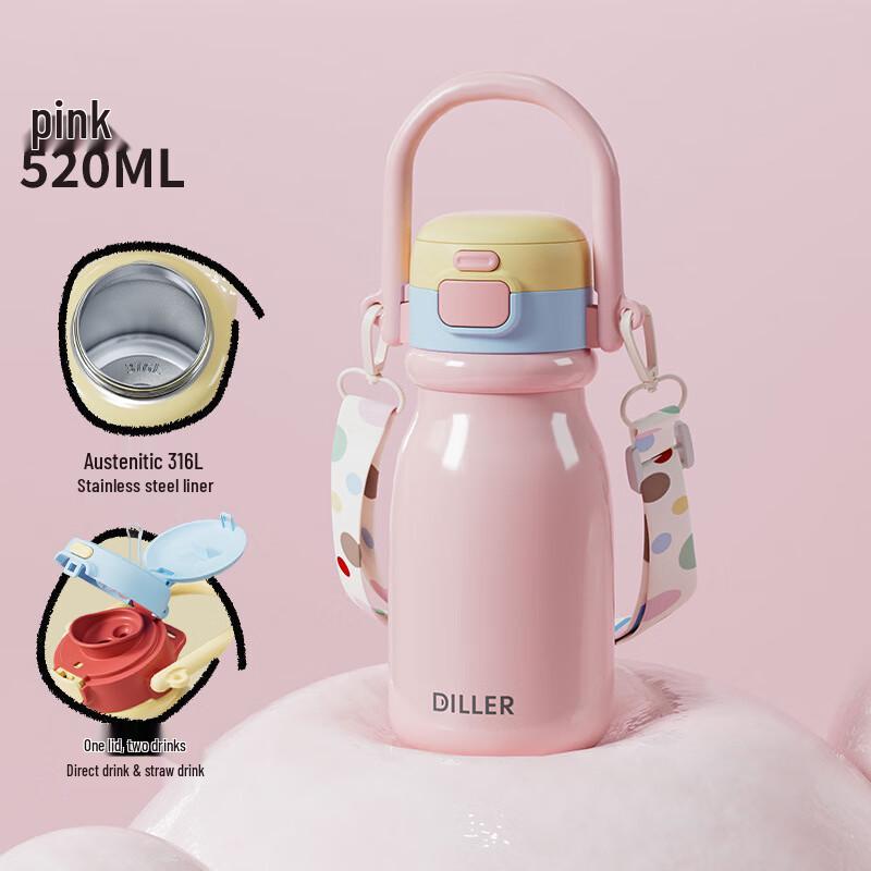 Diller 316 Stainless Steel Portable Thermos