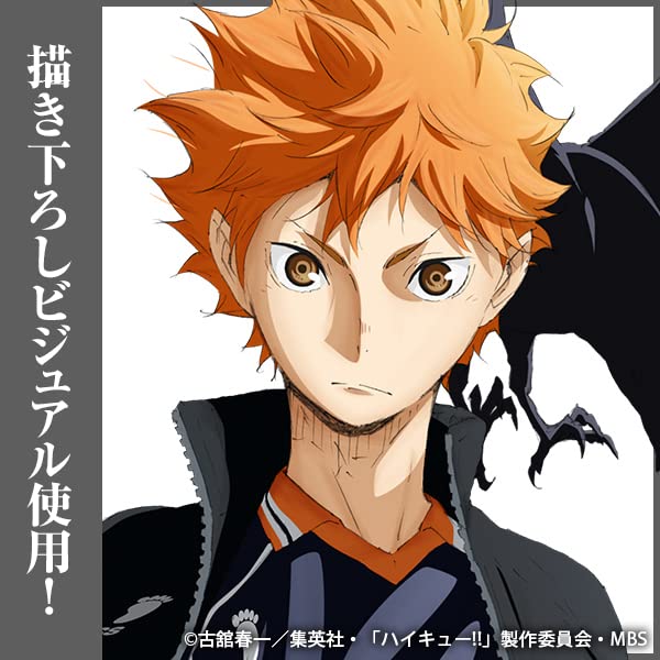 COSPA Hinata Shoyo Acrylaufsteller [Offiziell] Haikyu!! (Groß) Ver.1.0
