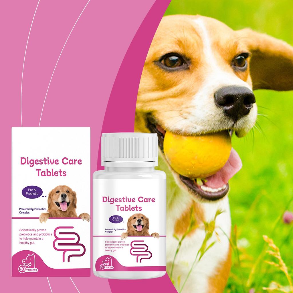Dog Probiotic Tablets Improve Intestinal Health And Promote Digestion And Absorption Of Pet Nutritional Supplements