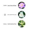 Tesori d'Oriente Water Lily Hydrating Bath Set