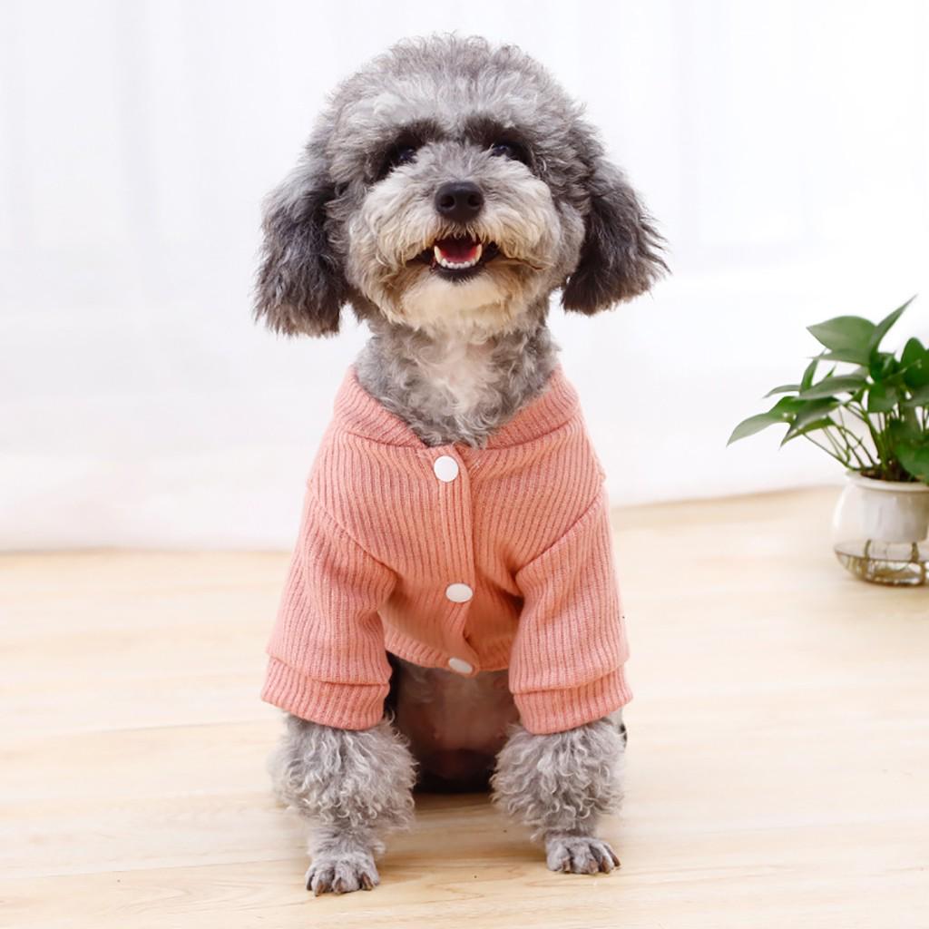 puppy sweater
