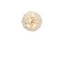 Modern Crystal Dandelion Chandelier for Living Room, Bedroom, or Dining Room - 2025 Style