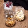 Guazi Nut Storage Box Cartoon Bear Storage Bottle Candy Food Can Snack Acrylic Can Cute Sealed Can Biscuit Can Dessert Storage