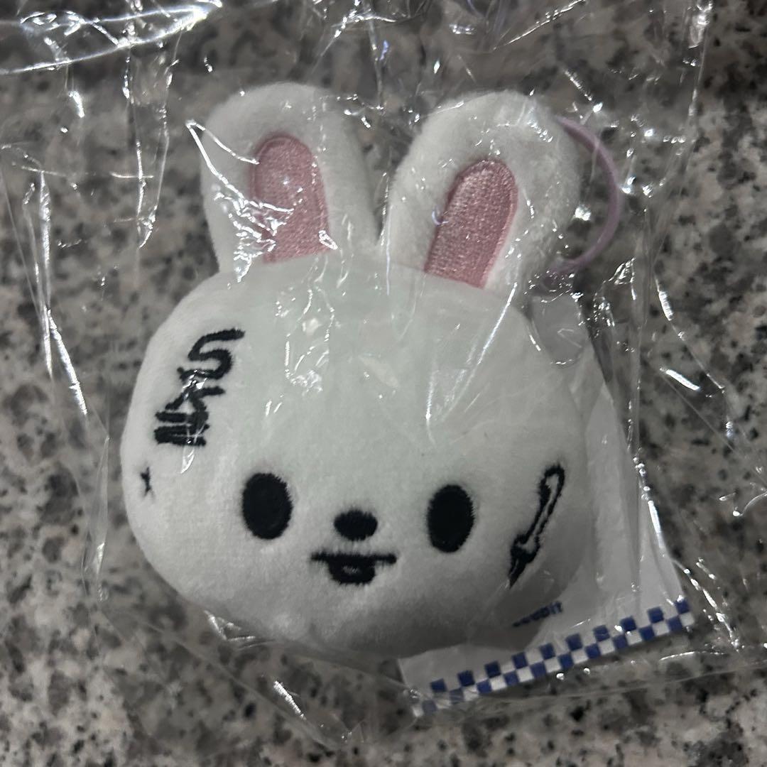 

[Б/У] Stray Kids KARMA Всплывающий именной бейдж Левит