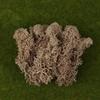 Colorful Natural Artificial Moss Plant DIY Dried Reindeer Moss Decor Resin Epoxy Filling Jewelry Garden Decorate Supplies