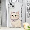 Cartoon Oil Painting Animal Cat Transparent Phone Case for IPhone 17 Pro Max 16 15 11 12 14 13 Mini 7 8 Plus X XS XR Soft Cover