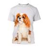 3D Puppy Dog Printed T-shirty Men Oversized Baggy Cavalier King Charles Spaniel Graphic T Shirts Streetwear Cute Clothes