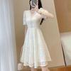 Elegant Lace A-Line Midi Dress - Summer 2025 New Arrival for Petite Women