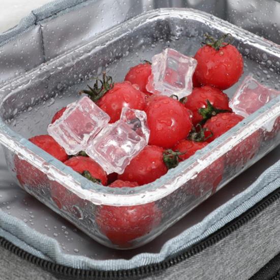 Insulated Lunch Box for Women Men Double Layer Leakproof Lunch Bag with Adjustable Shoulder Strap Waterproof Cooler Bag for Work Travel Camping Picnic