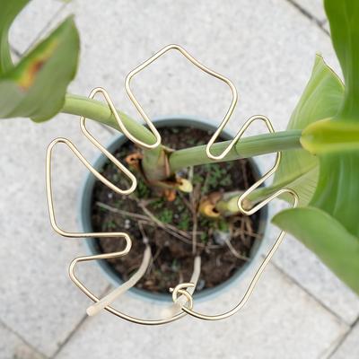 Plant Stem Support - Durable Monster Stabilizer Jig, Uniquely Designed for Climbing Plants, Turtle Shell Bamboo Clip Set