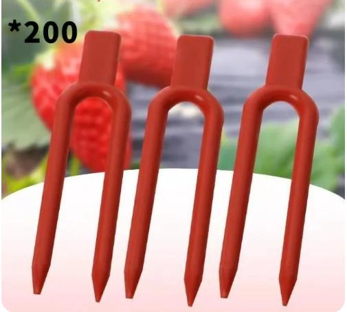 

200 Strawberry Planting Forks, 5cm Each