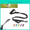 Anti-explosion And Shock-proof Dog Leash For Cross-border With Reflective Elastic Rope For Pet Supplies