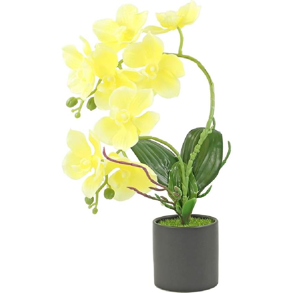 

aufuwa Artificial Orchid Silk Phalaenopsis Flowers Faux Orchids with Ceramic Pot 19.5 Decor for Table Centerpieces Indoor Wedding Home Office Party Yellow Gradient