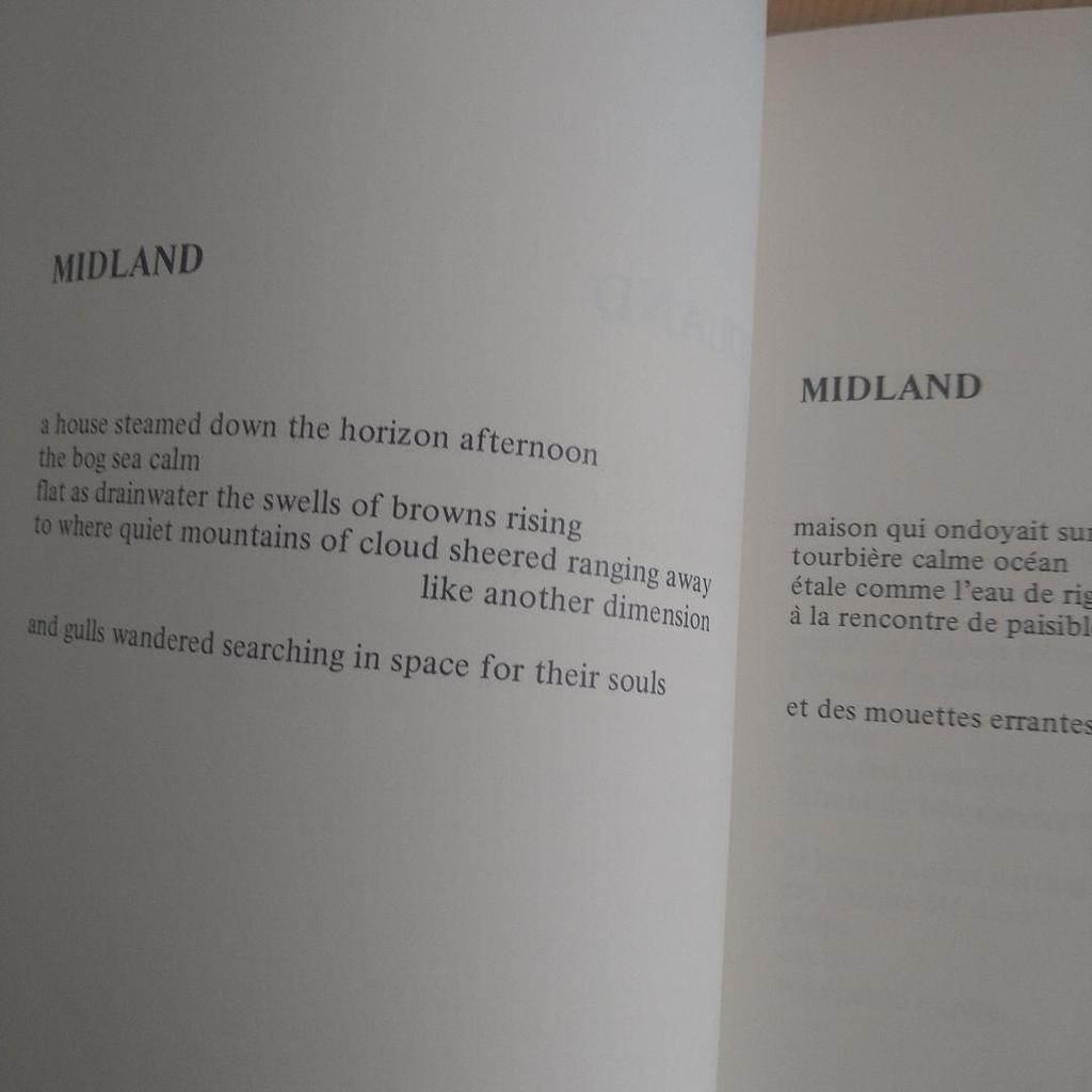 [USED] Terre Et Paix - A Collection of Poems by Desmond Egan