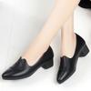 Single Shoes, Women's Soft Soles Are Not Tired, Spring and Autumn Casual and Comfortable, Pointed-toed Women's Leather Shoes