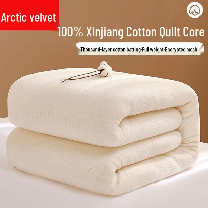 

Bejirog All-Season Xinjiang Cotton Duvet Insert