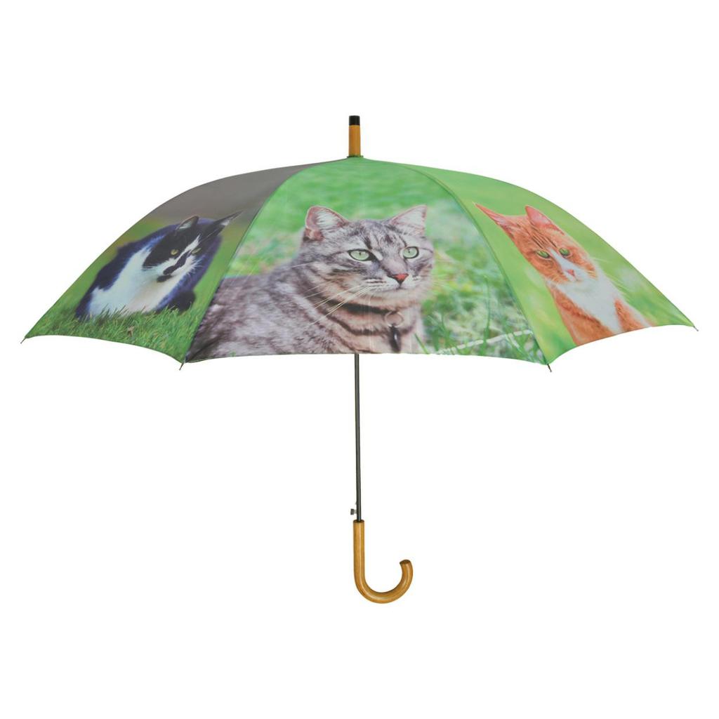Umbrella With A Cat Motif