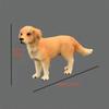 Simulation Hundemodell Solide Statische Ornament-Artefakt Golden Retriever Welpe Labrador Beagle Shiba Inu