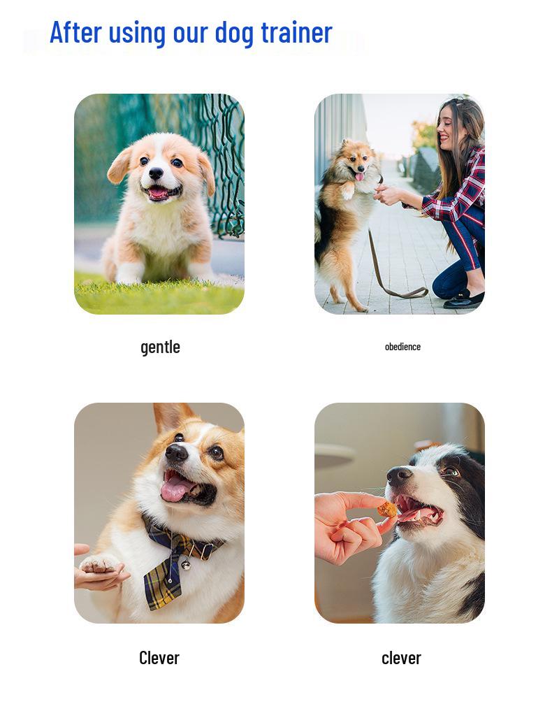 Multi-Color Dog Training Collar with Wireless Remote Control - Customizable Anti-Disturbance Bark Stopper.