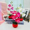 Decor Artificial Phalaenopsis With Highquality Materials For Gift And Event Use