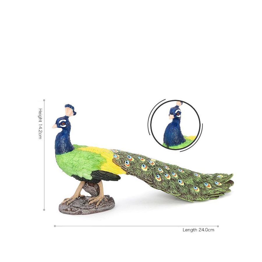Realistic Plastic Farm Life Peacock Toy Figure Authentic Hand Painted Bird Model Figurine Fun Collectible Educational Play Toys