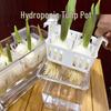 Acrylic Hydroponic Pot with Planting Basket