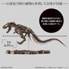 Imaginary Skeleton Tyrannosaurus 1/32 Scale Plastic Model 197694 Brown 25.4x11.43x15.24cm